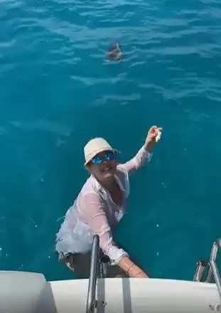 Катето Евро храни риби на Сейшелите