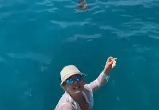 Катето Евро храни риби на Сейшелите