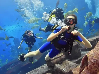 Сергей Станишев на море в Дубай за 5300 лева на вечер! Заедно със семейството плуваха с делфини (ЕКСКЛУЗИВНИ СНИМКИ)