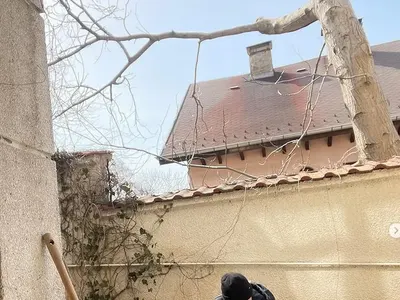 Жена за пример: Ирина Тенчева засади зарзават