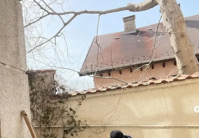 Жена за пример: Ирина Тенчева засади зарзават