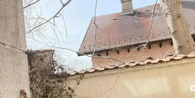 Жена за пример: Ирина Тенчева засади зарзават