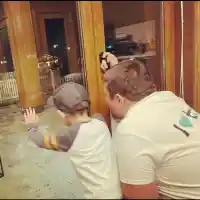 Лисица отмъкна кюфтетата на Тоца