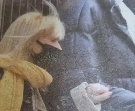 Маска, обсипани с камъни, пази Лили от мръсен  въздух и зарази