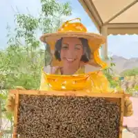 Мегз стана пчеларка в Дубай