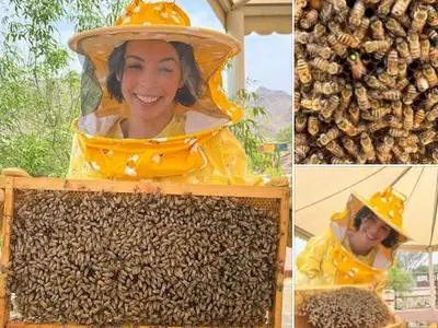 Ново амплоа: Мегз се зае да гледа пчели в Дубай