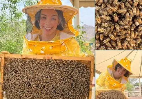 Ново амплоа: Мегз се зае да гледа пчели в Дубай