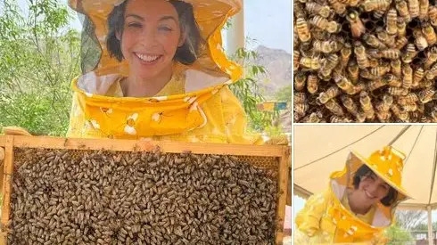 Ново амплоа: Мегз се зае да гледа пчели в Дубай