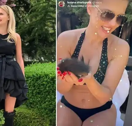 Вдовицата на Шарлопов храни катеричка