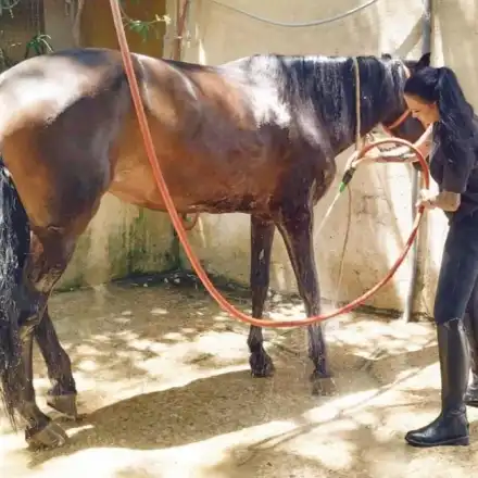 Цеци Красимирова се готви за Дивия запад (СНИМКИ)