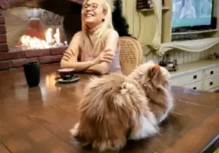 Гала си строи швейцарска вила