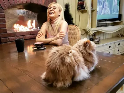 Гала строи швейцарска къща край София! Със Стефан ще живеят в алпийски имот в гората