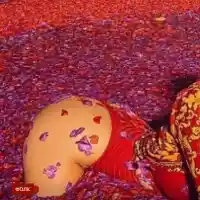 Гери-Никол заголи Д