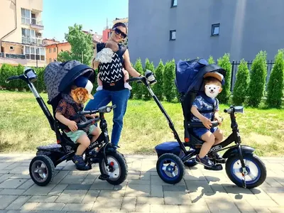 Наведнъж! Мама Ася разходи и трите деца
