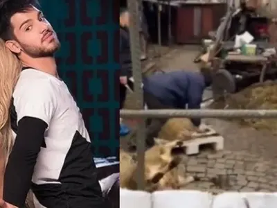 Теди Александрова: Тони Стораро ми  прати клипчето с  клането на агнета