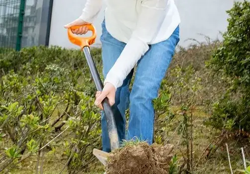 Деси Стоянова  слиза от екрана, започва свой бизнес