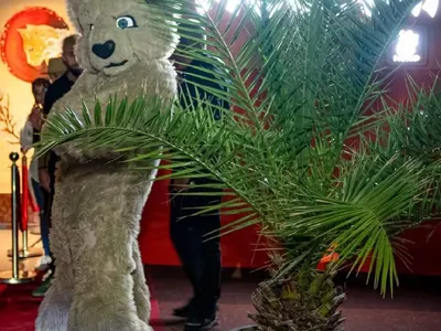 Megami Neko в Созопол даде заявка да е хитът на сезона