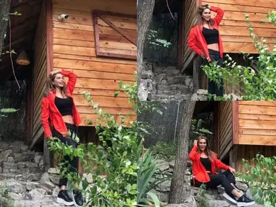 Бони хвана гората