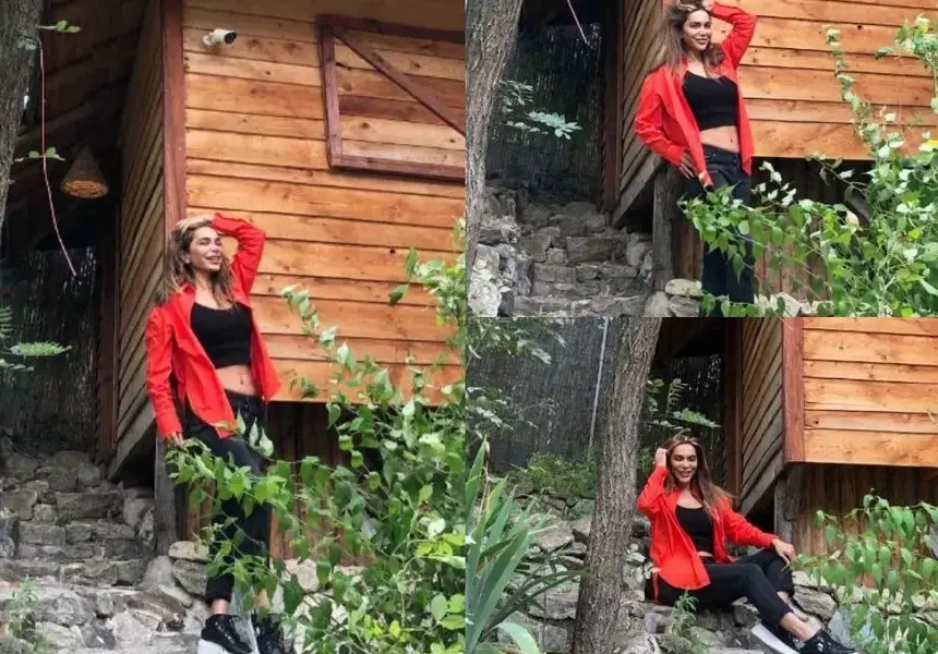 Бони хвана гората