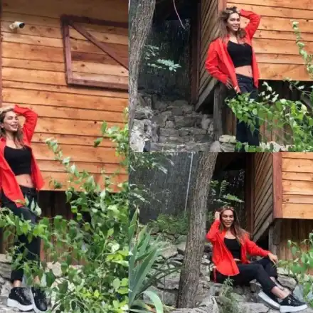 Бони хвана гората