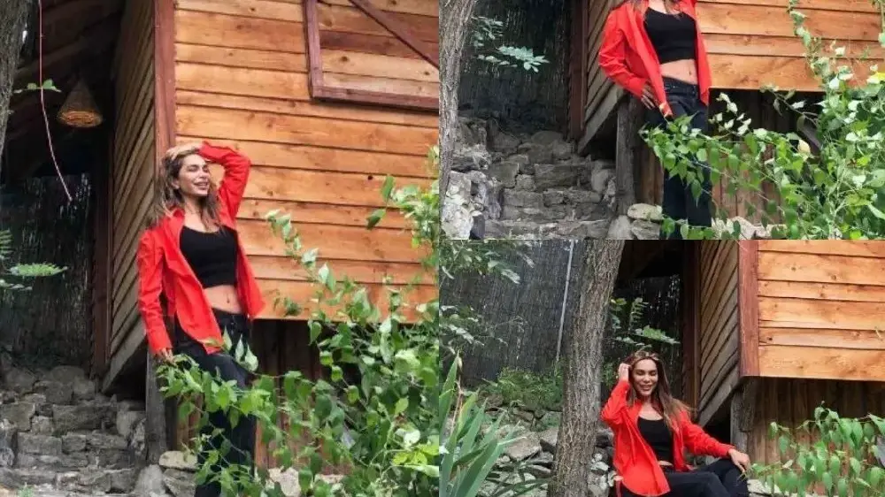 Бони хвана гората