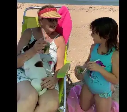 Катето Евро пийва по малко на плажа