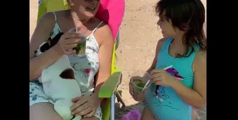 Катето Евро пийва по малко на плажа