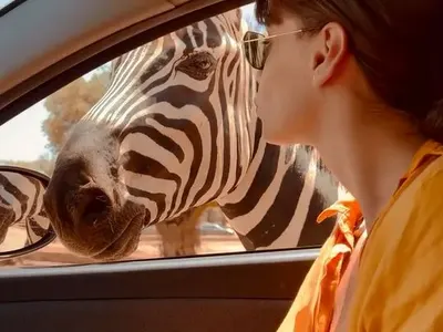 Любимата на Сашо Кадиев се целува със зебра (ФОТО)