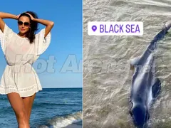 Наталия Гуркова спаси делфин
