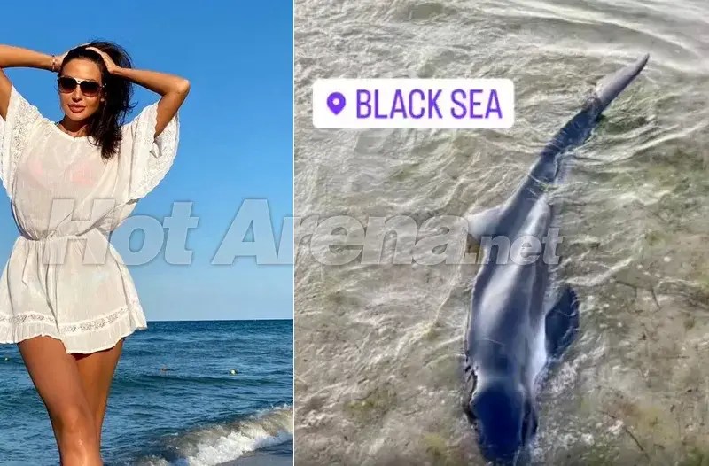 Наталия Гуркова спаси делфин