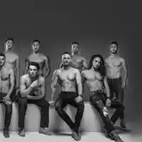 Поет vs. зъботехник в битка за най-добър модел