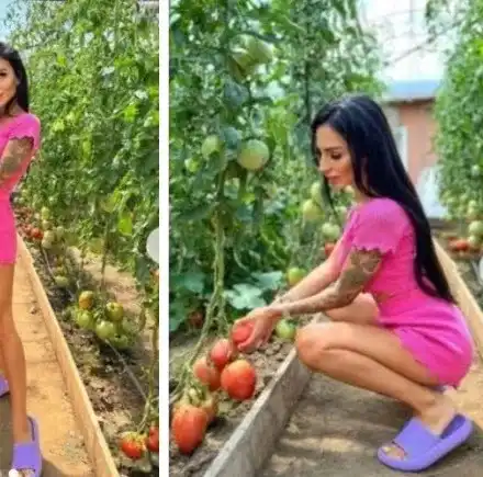 Смях! Моделка се чуди на доматите, снима се до тях