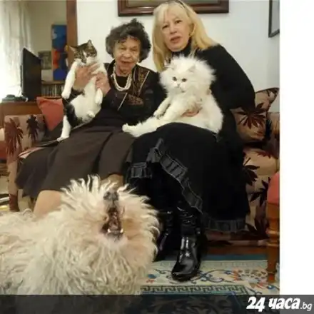 Умря Чарли на Стоянка, Муки е съсипана