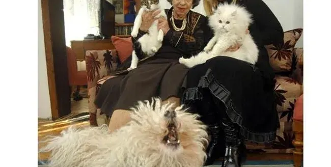 Умря Чарли на Стоянка, Муки е съсипана