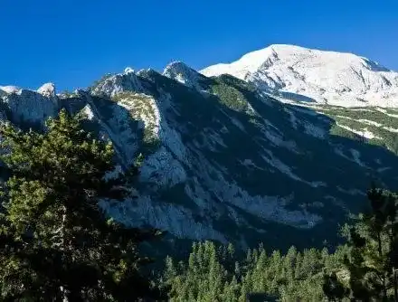 Как да изберем изгодна семейна почивка?