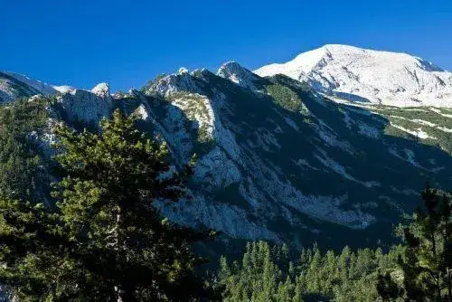 Как да изберем изгодна семейна почивка?