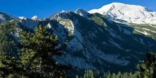 Как да изберем изгодна семейна почивка?