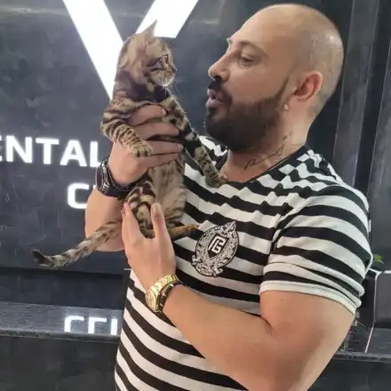 За късмет! Ванко 1 си взе малко коте