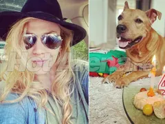 Кучето на Макавеева чукна 14 с торта от сьомга