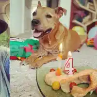 Кучето на Макавеева чукна 14 с торта от сьомга