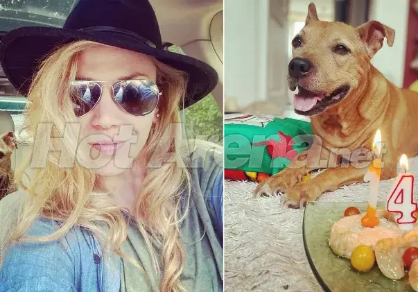 Кучето на Макавеева чукна 14 с торта от сьомга