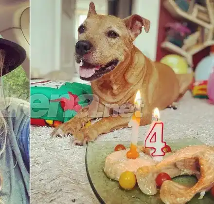 Кучето на Макавеева чукна 14 с торта от сьомга