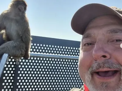 Ути си търси балканче