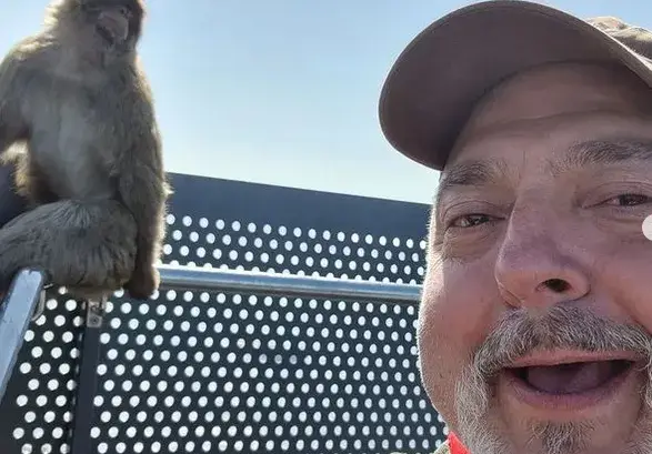 Ути си търси балканче