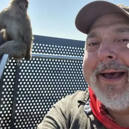 Ути си търси балканче