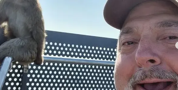 Ути си търси балканче