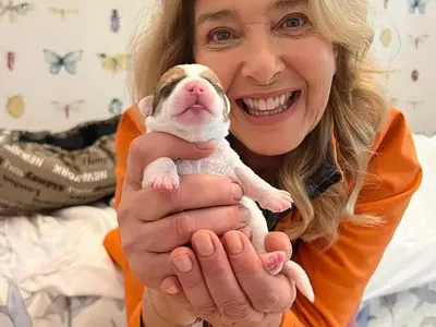 Катето Евро раздава 7 кученца