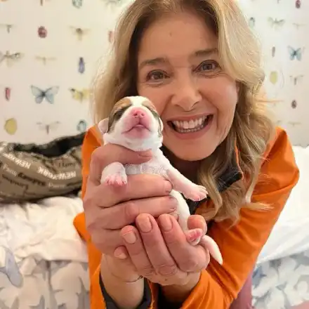 Катето Евро раздава 7 кученца