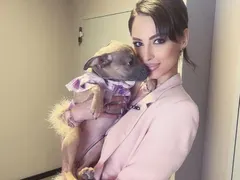 Цвети Стоянова осинови куче