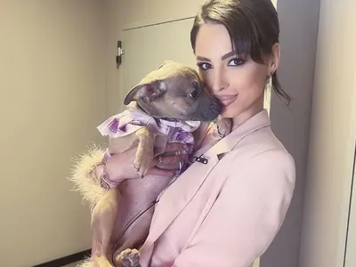 Цвети Стоянова осинови куче